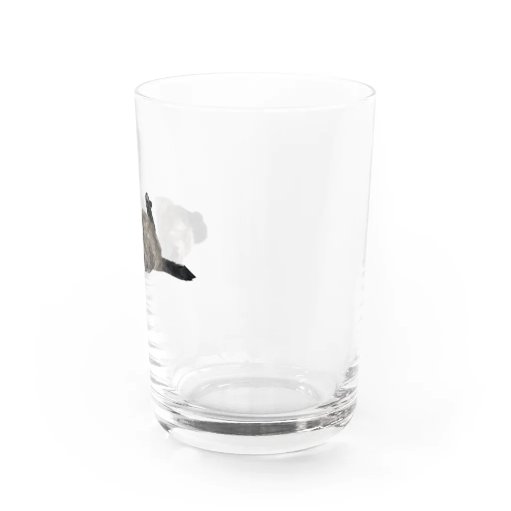 QDAのSly Water Glass :right