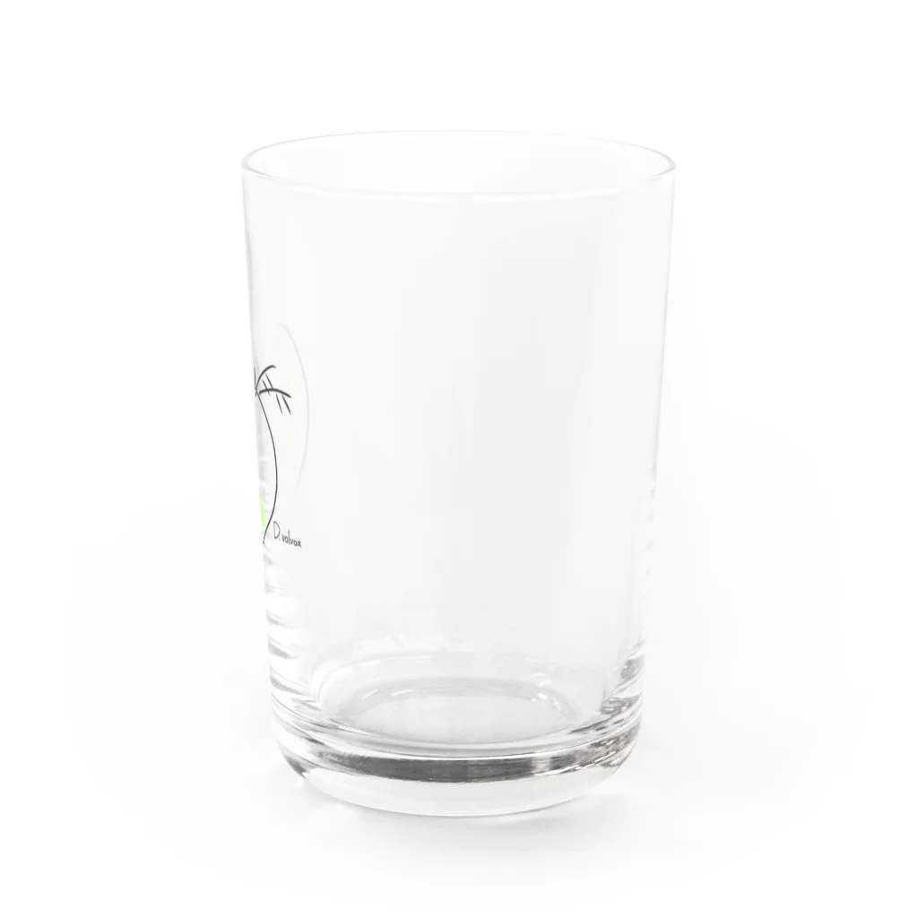 Daphnia volvoxのダフニアボルボックス Water Glass :right