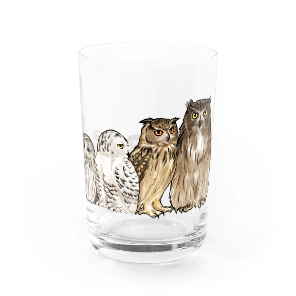 鵄　〜フクロウまみれ〜のせのじゅんフクロウ Water Glass :right