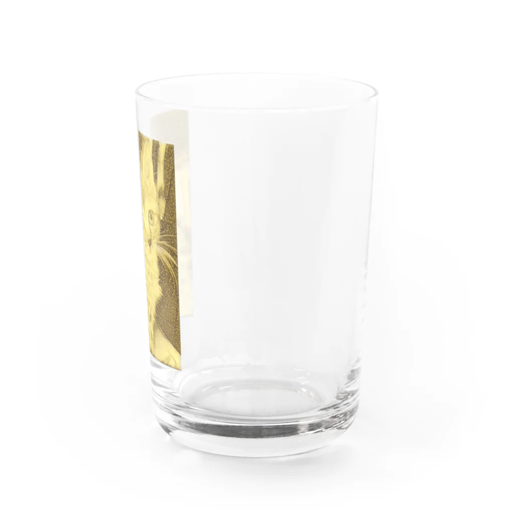 金色猫のキラキラネコ Water Glass :right