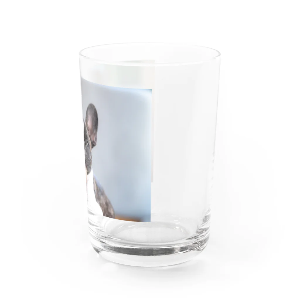 okamemaruの癒し系いぬ Water Glass :right