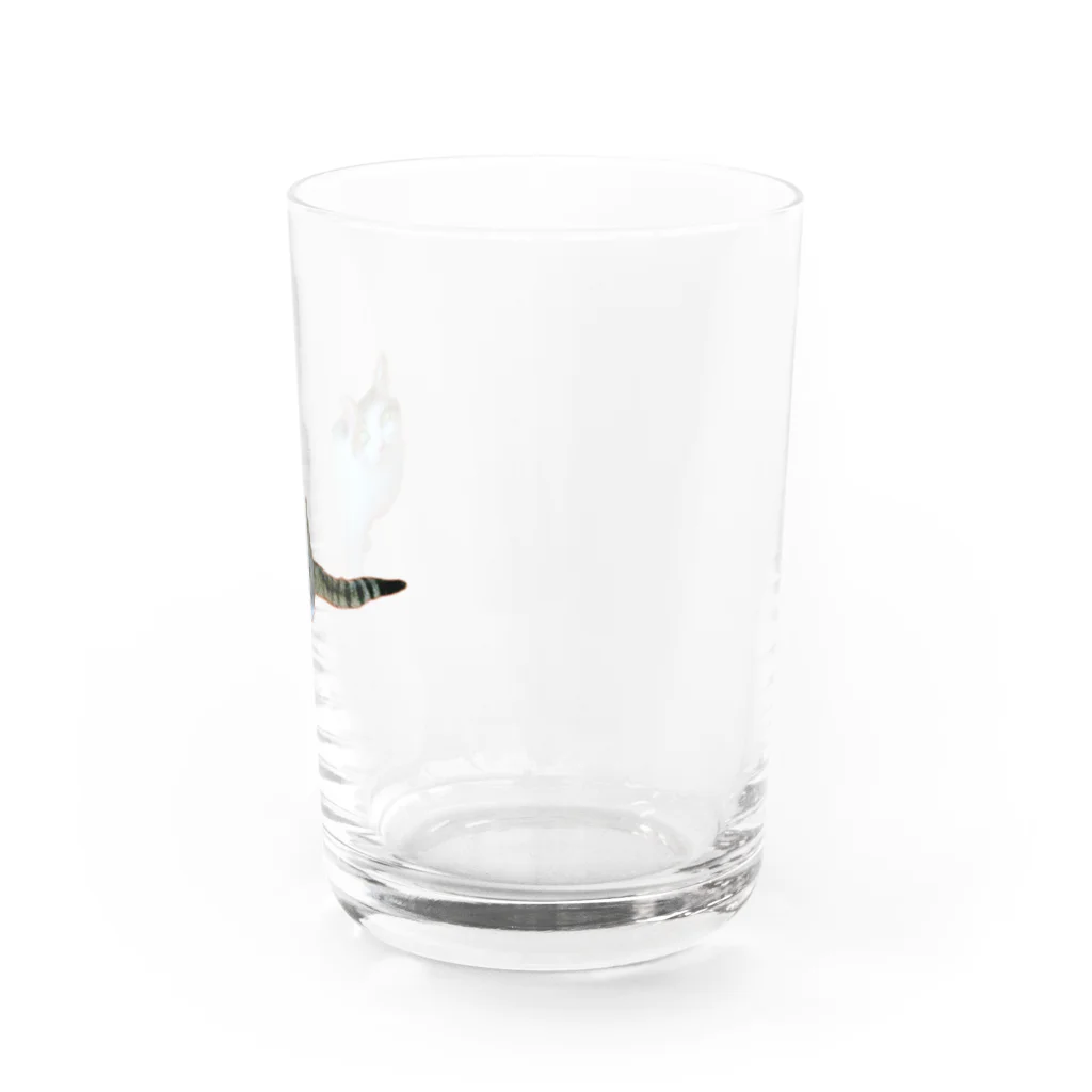 桃くるみSHOPのおかえりにゃん Water Glass :right