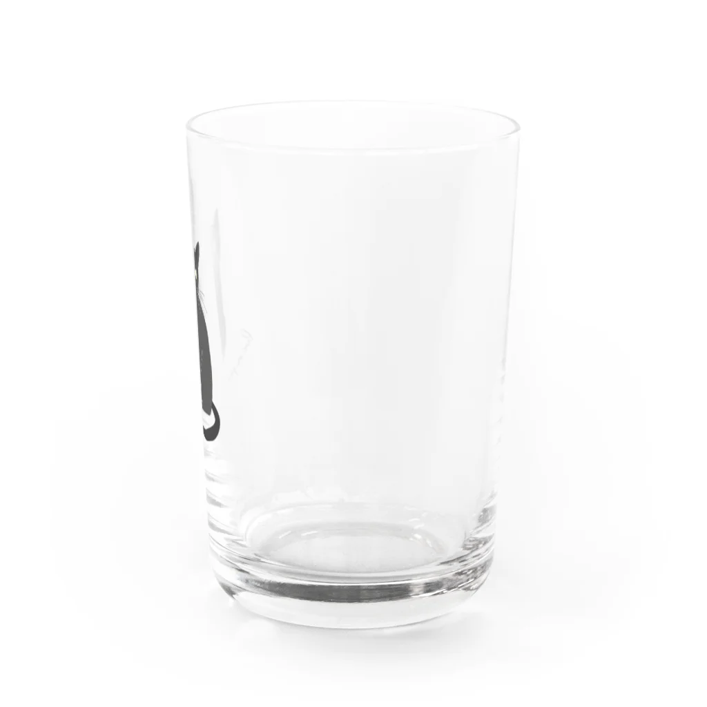 黒猫ショップの黒猫-Live In Peace- Water Glass :right