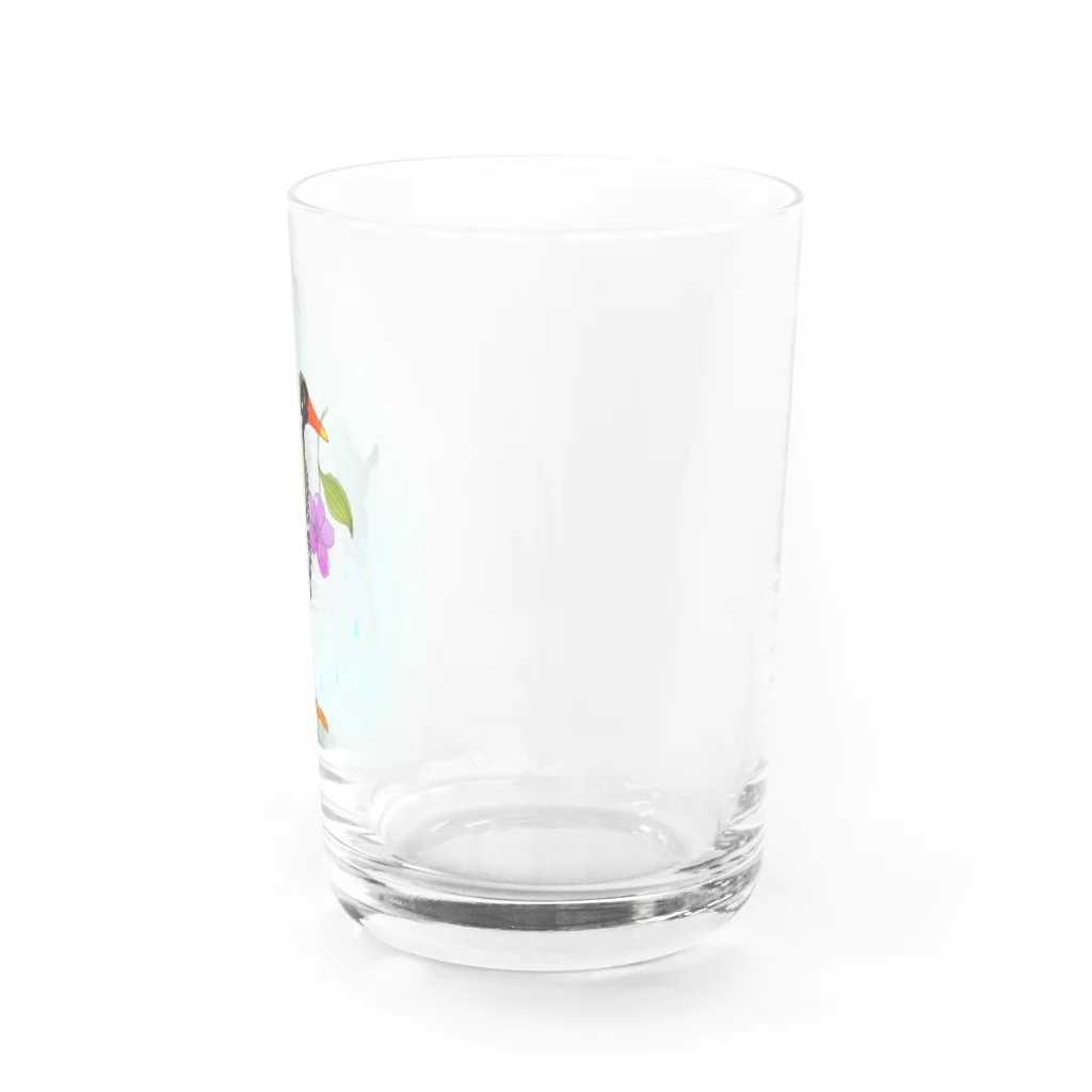 namacoのノボタンとヤンバルクイナ Water Glass :right