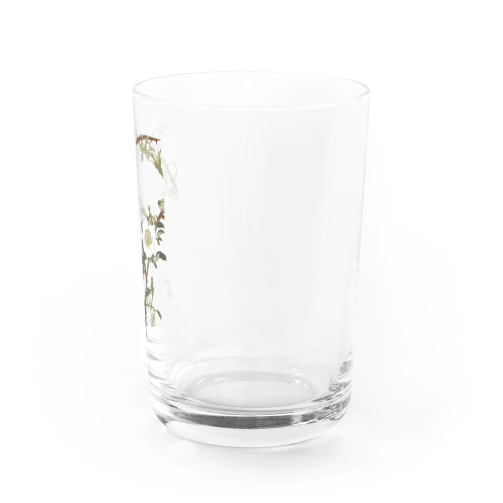 sachiko_goodsのなにはいばら Water Glass :right