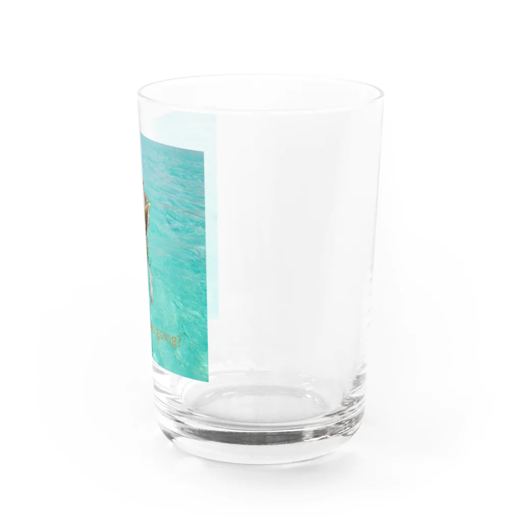 MOMOTAKAショップの海のかけら - ピグとバード Water Glass :right