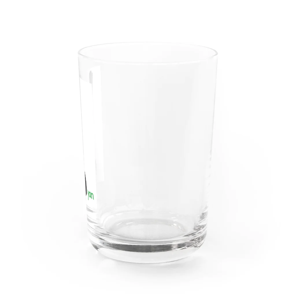 きまぐれ猫目屋のちゅうかおたまやん Water Glass :right