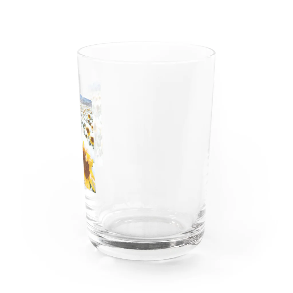 kazu_gの季節外れの雪の中のに咲く、季節外れのヒマワリ Water Glass :right