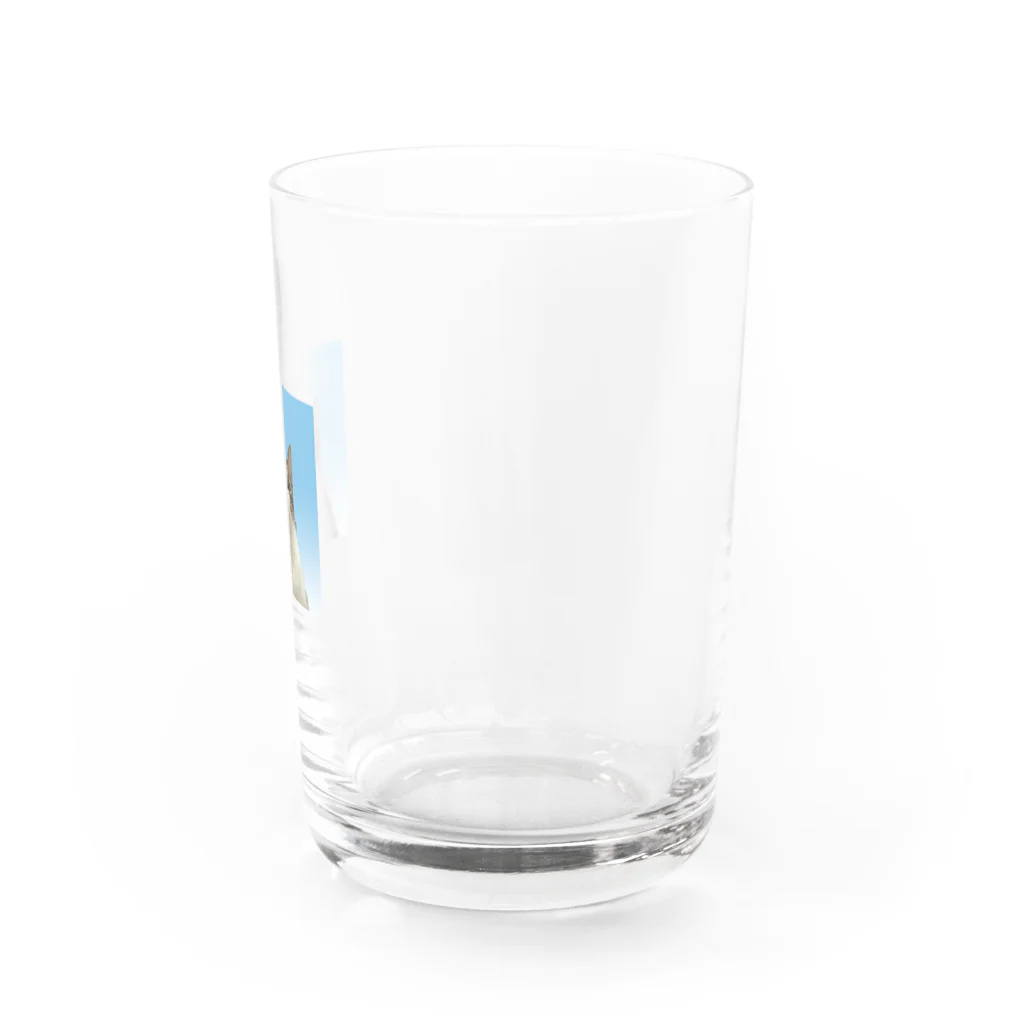 ちゃんかなの親知らずのキューチ Water Glass :right