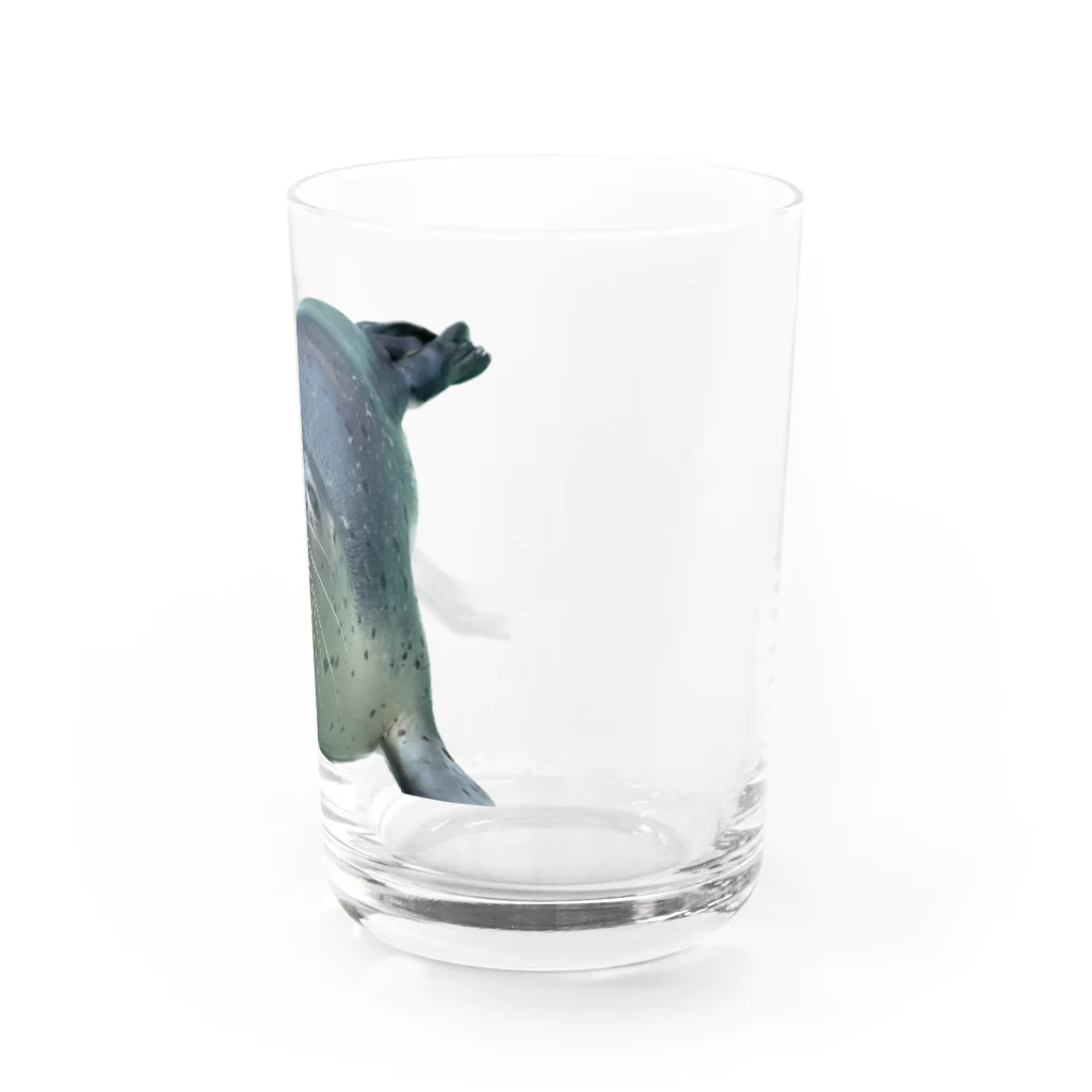 tmy_fの水族館の生き物（愛しのゴマちゃん） Water Glass :right