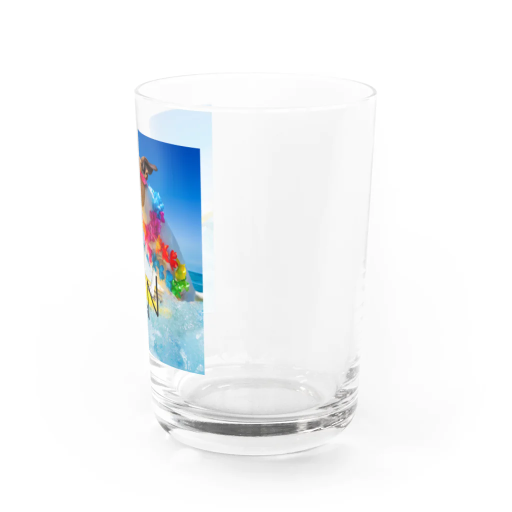 HANIの犬 サーフィンデザイン Water Glass :right