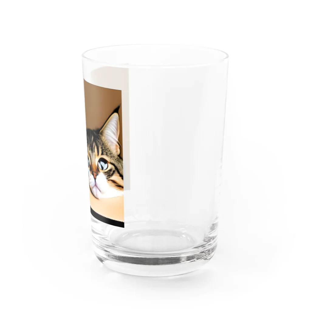 チェリオの箱に入った可愛い猫 Water Glass :right