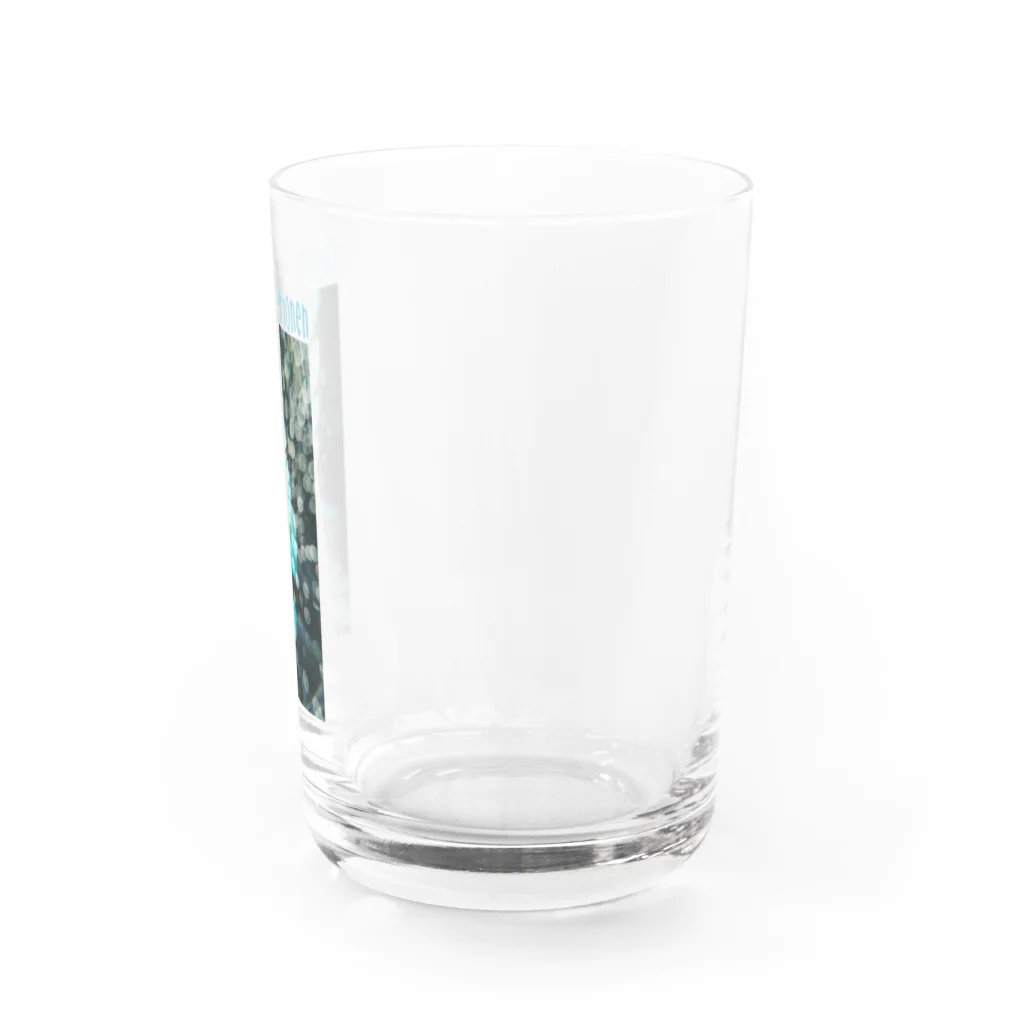 mikan-seijin8のアオスジアゲハ Water Glass :right