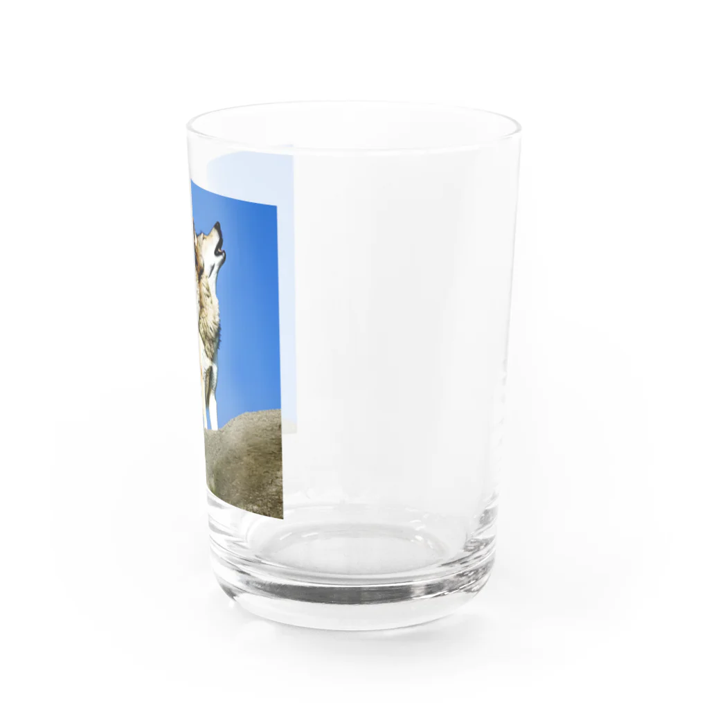 No planの吠えるオオカミ Water Glass :right