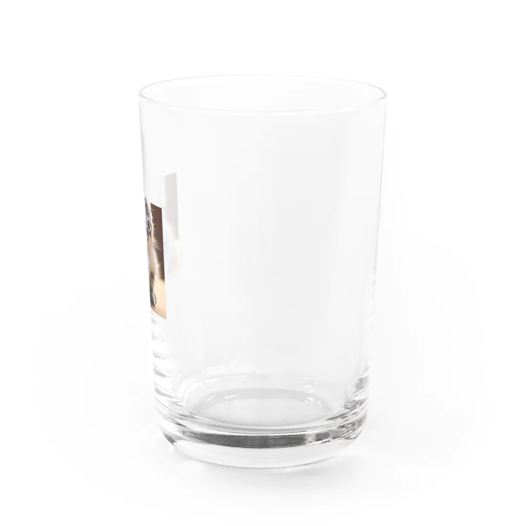 べぇやんショップのにゃんこちゃん Water Glass :right