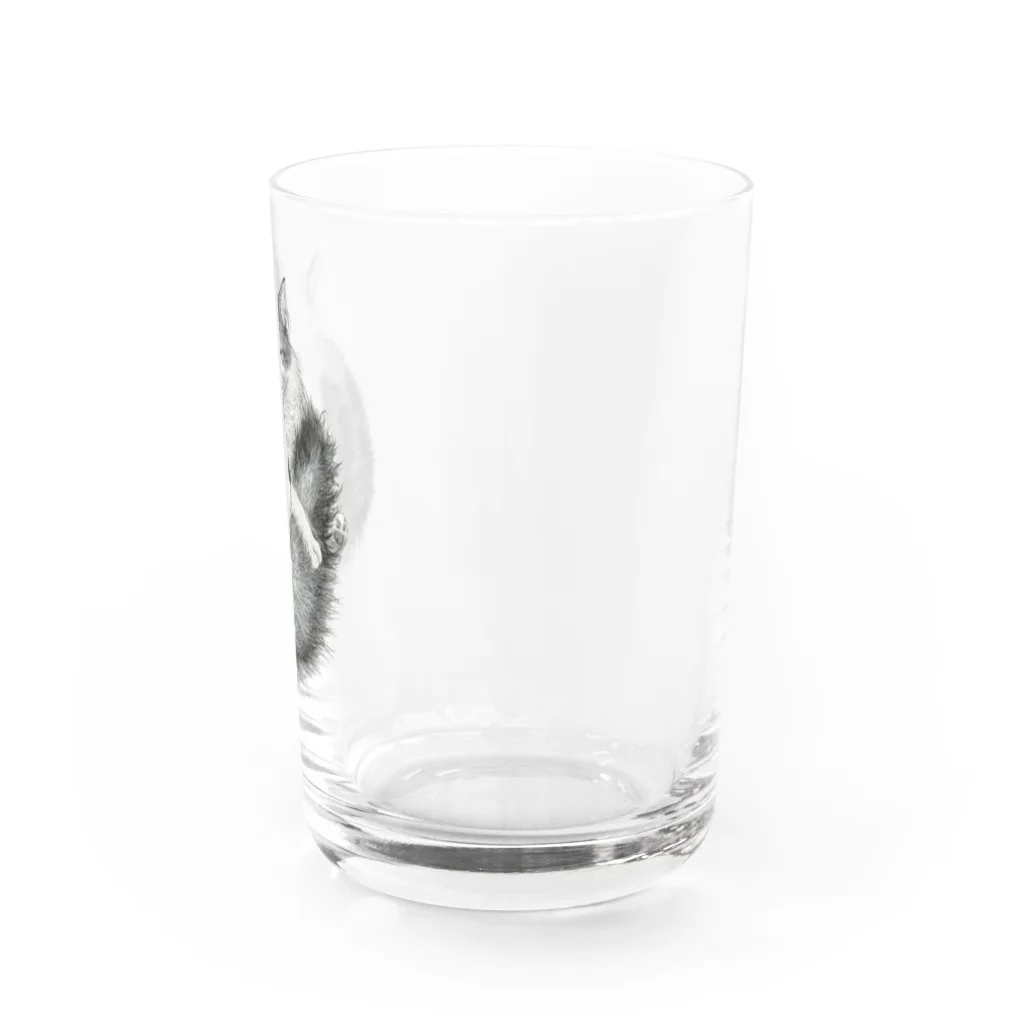 もっち（mocchi）の毛づくろいニャンコ(モノクロ) Water Glass :right