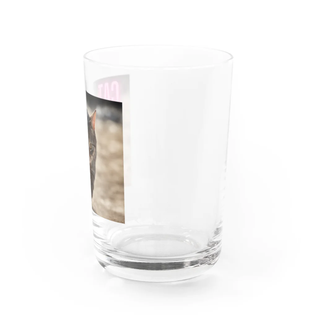 TAIYO 猫好きのピンクロゴCAT 狩猟風 Water Glass :right