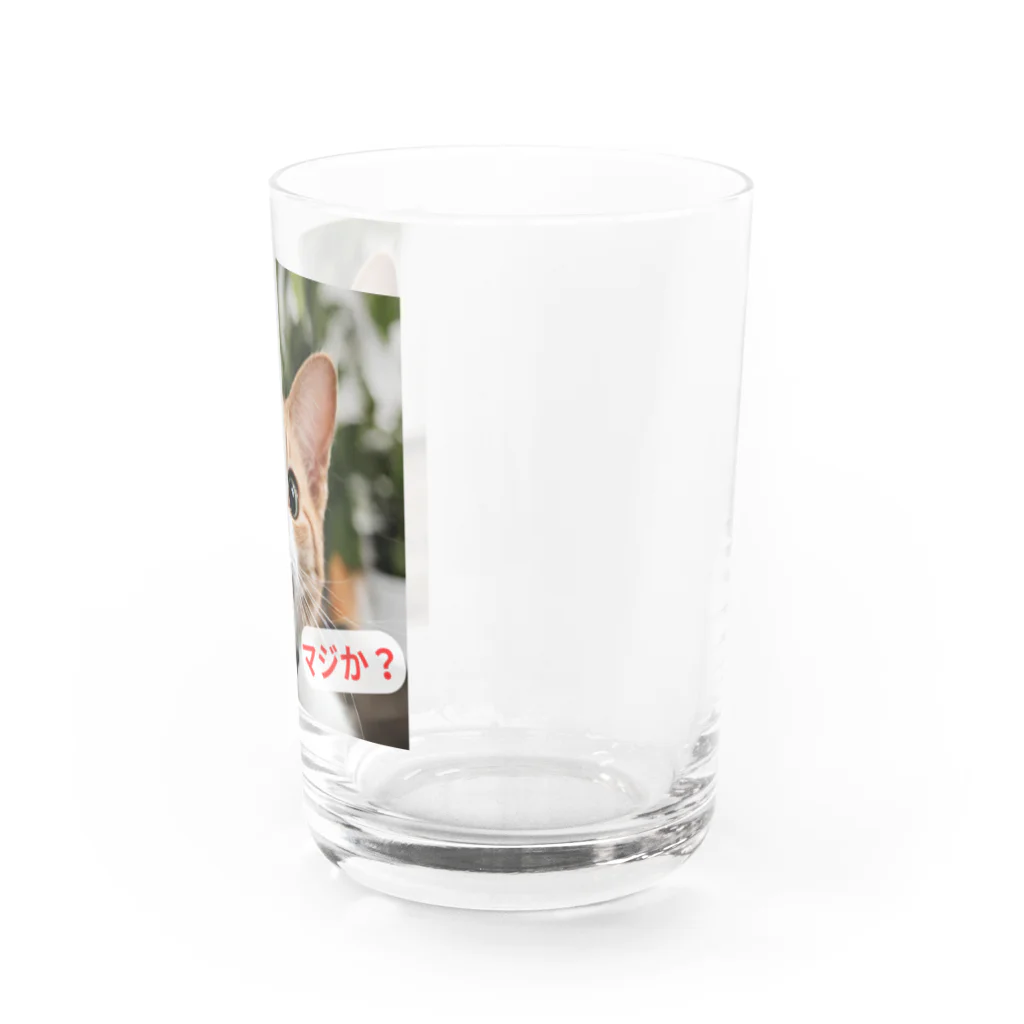 e-necoshopの驚愕する猫さん！ Water Glass :right