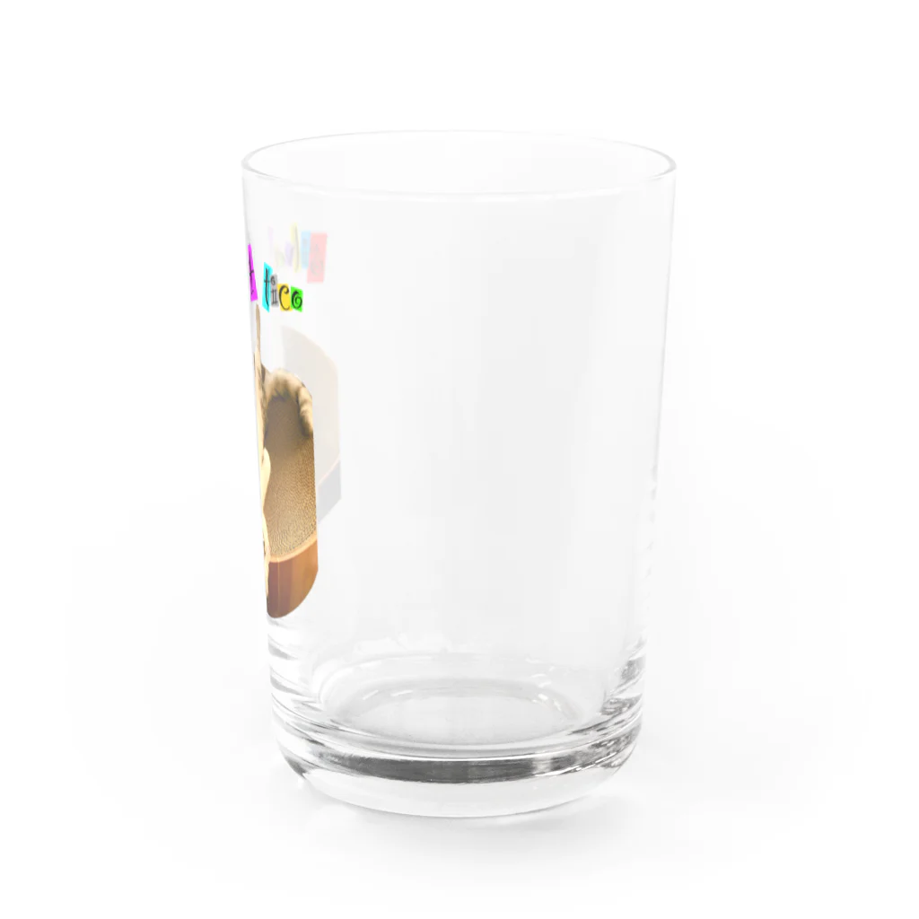 wild mild studioのtico 4 Water Glass :right