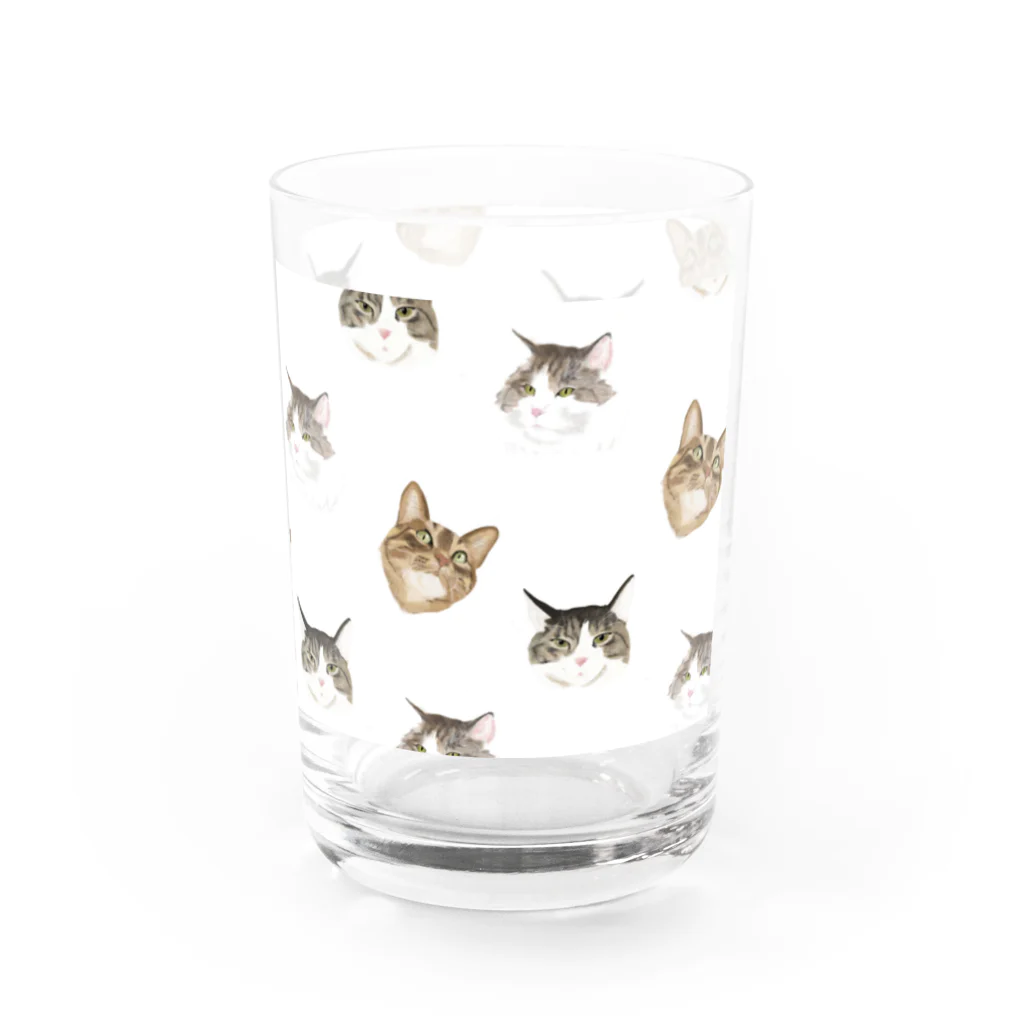 リリー・ティナのニャンズ　パターン Water Glass :right