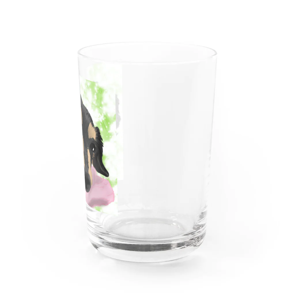 ダックス雑貨ひなたのお昼寝ドビーさん Water Glass :right