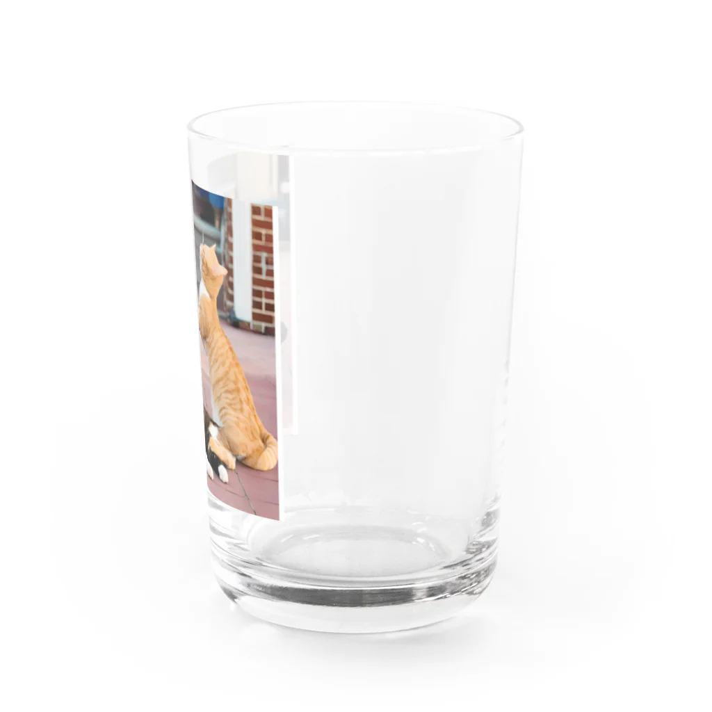 ume's shopの猫の喧嘩 Water Glass :right