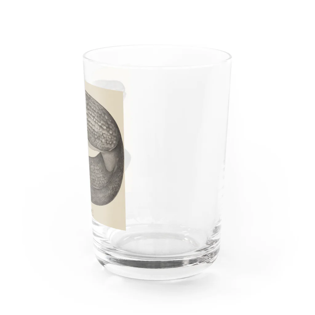 Charliegoneのへんな鰻 Water Glass :right