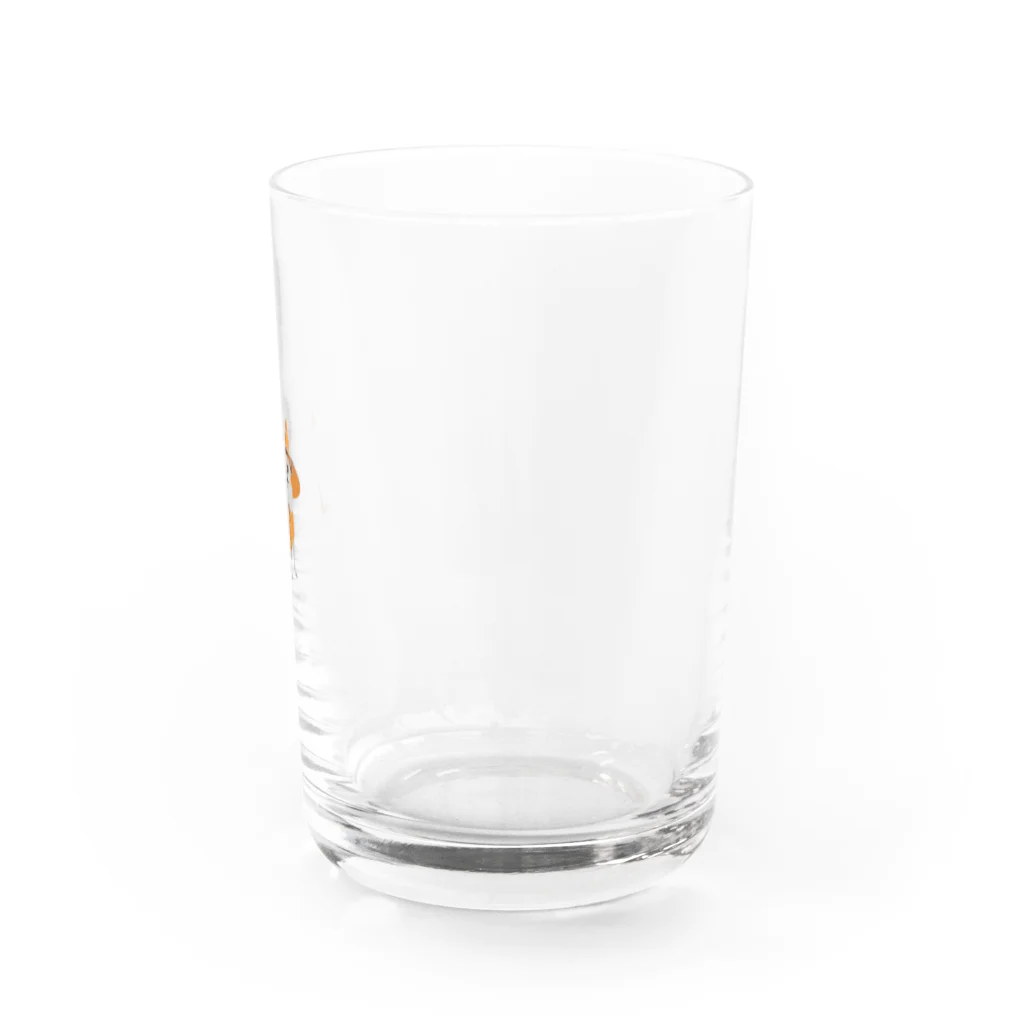 チワワ愛好家ショップの仮装パーティーの主役は極小チワワとかぼちゃのランタン Water Glass :right