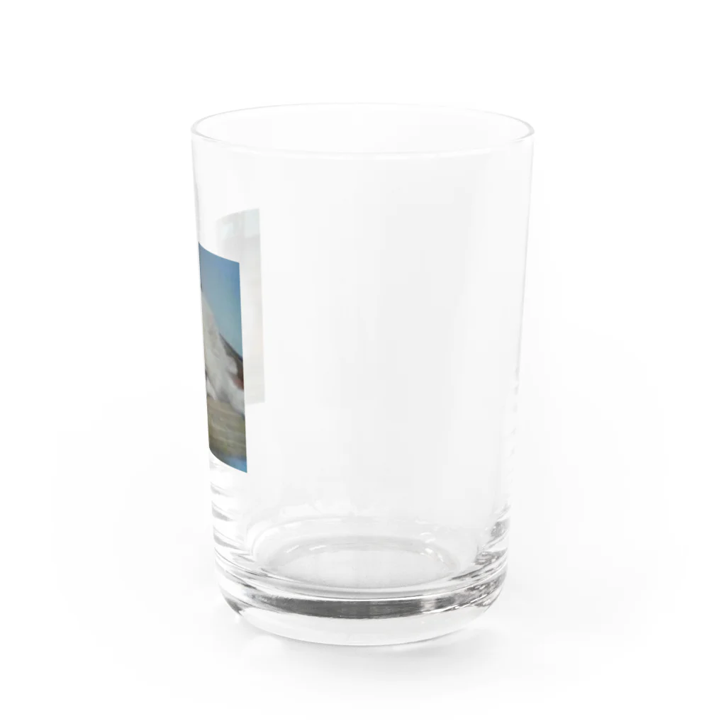 とと吉ショップのととろ Water Glass :right