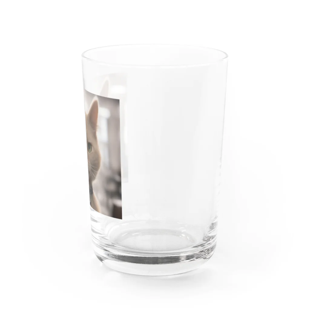 TAIYO 猫好きのビックフォト茶虎模様猫 Water Glass :right