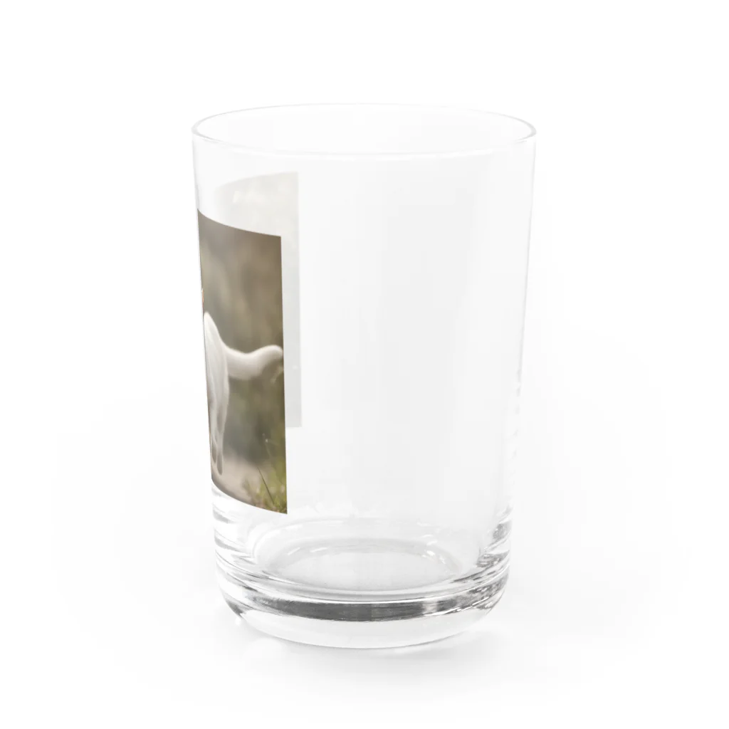 TAIYO 猫好きのフォトプリント美形白猫 Water Glass :right