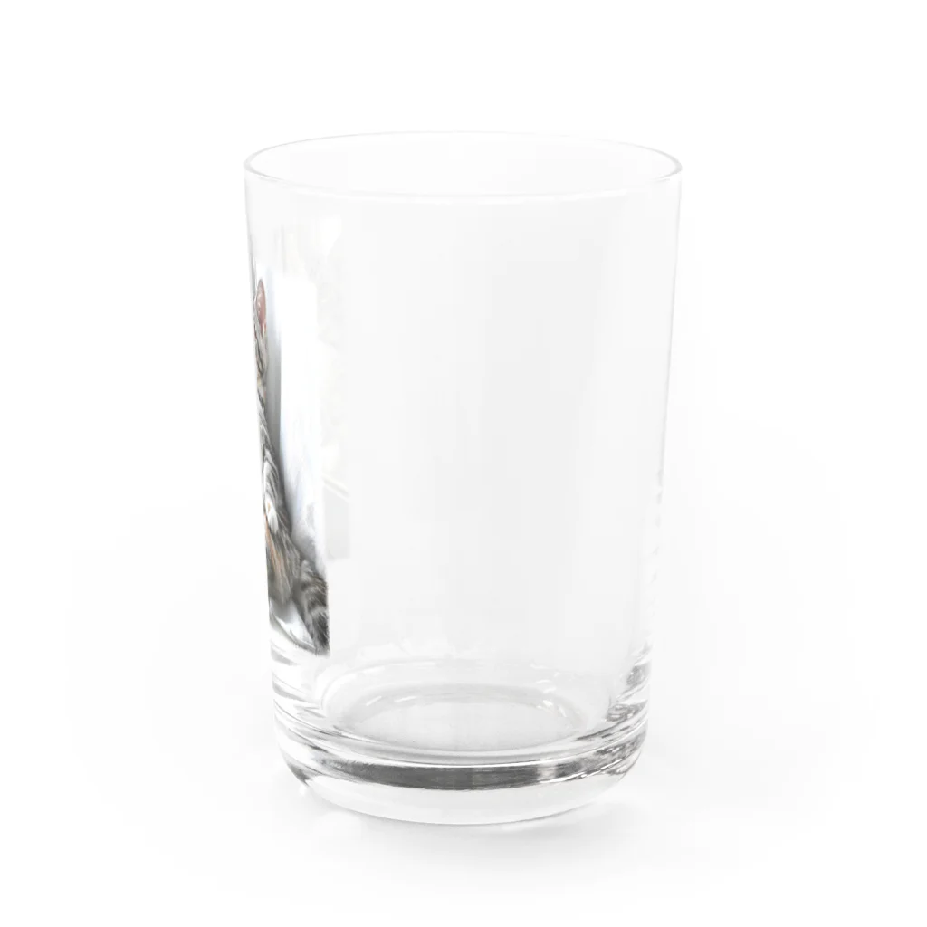 つみれうにのたそがれつみれカラー Water Glass :right