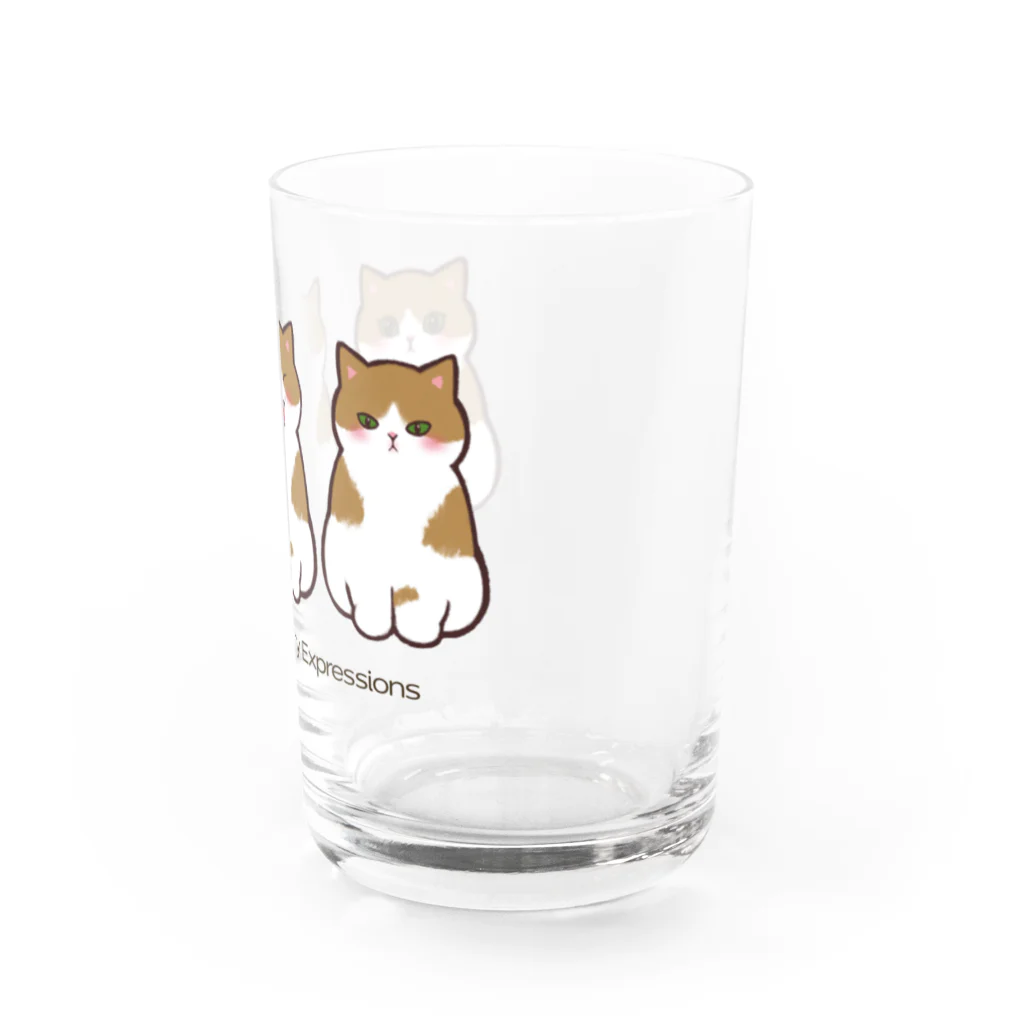 ふわにゃんshopのねこの一日 Water Glass :right