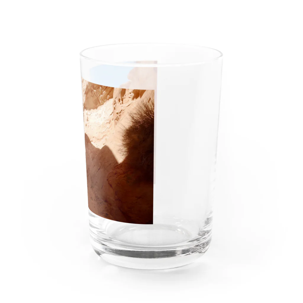 SexyJeepのモアブコレクション　デッドホースポイント Water Glass :right