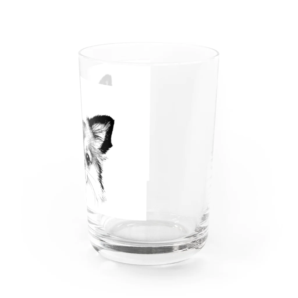 takepanのチワワシリーズ Water Glass :right