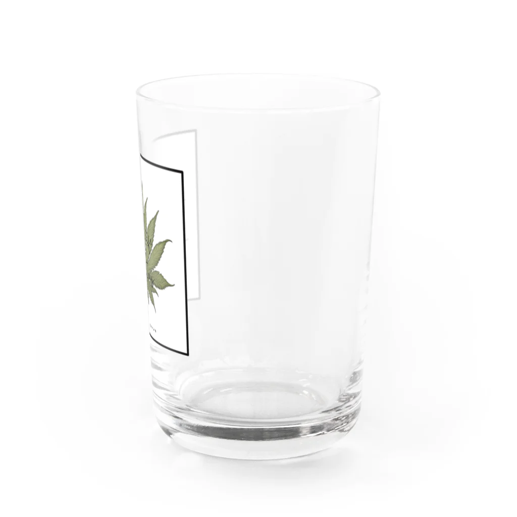 ハイライフコレクションズのハイライフコレクション Water Glass :right