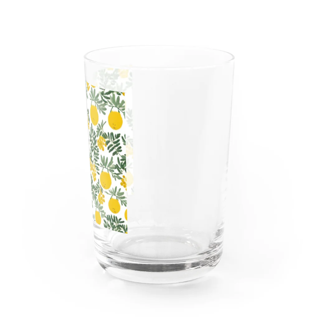 おむすびさん。のミモザっち。 Water Glass :right