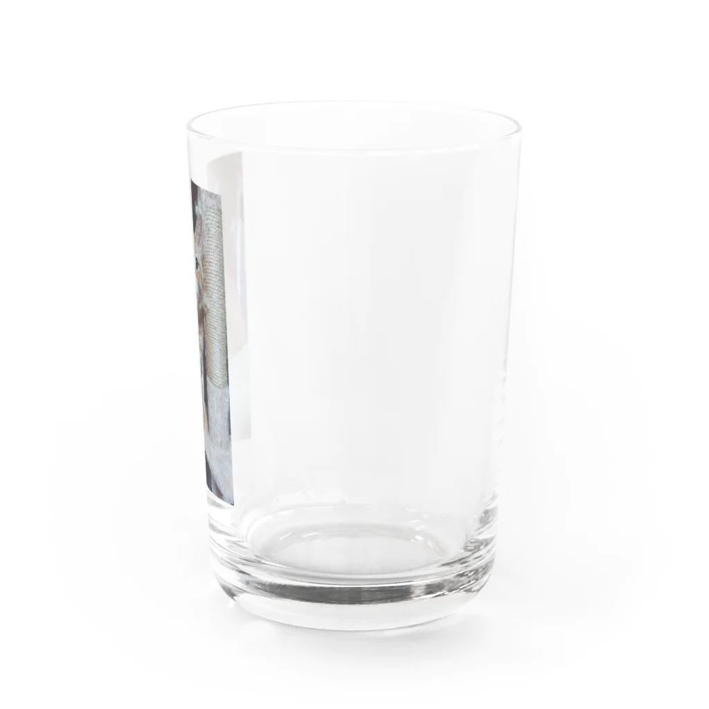 Yanyeの人懐っこくて可愛いりょうま Water Glass :right