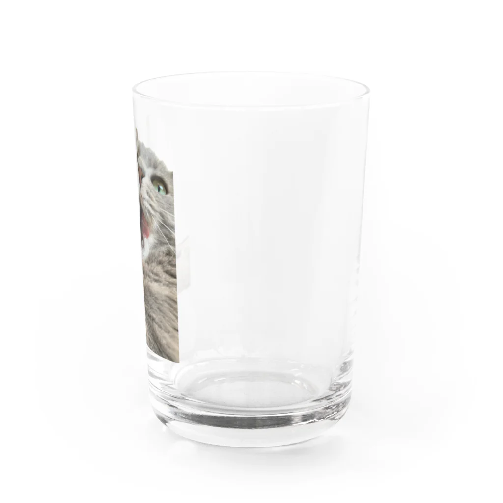 グレージュ猫ロッタン🐈‍⬛のあくびロッタン Water Glass :right