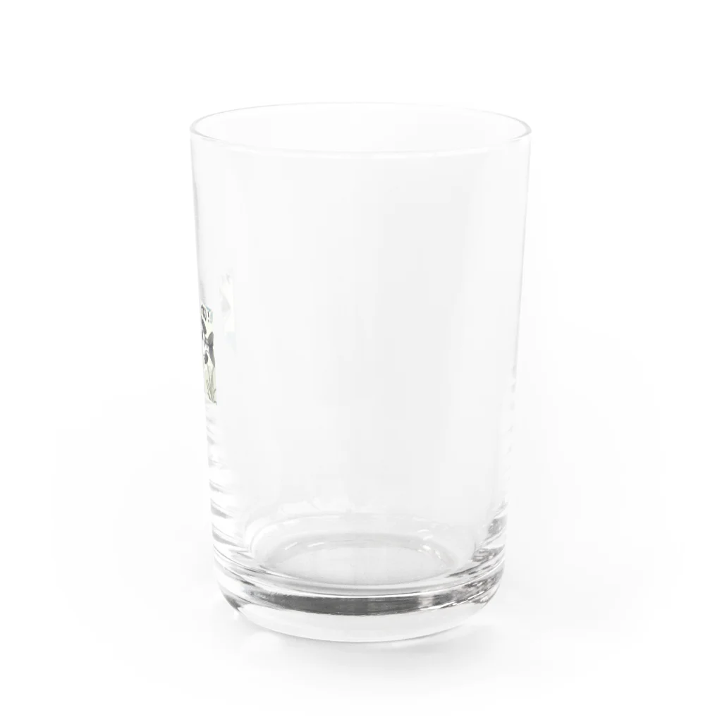 アジンガーのメバリングGO! Water Glass :right