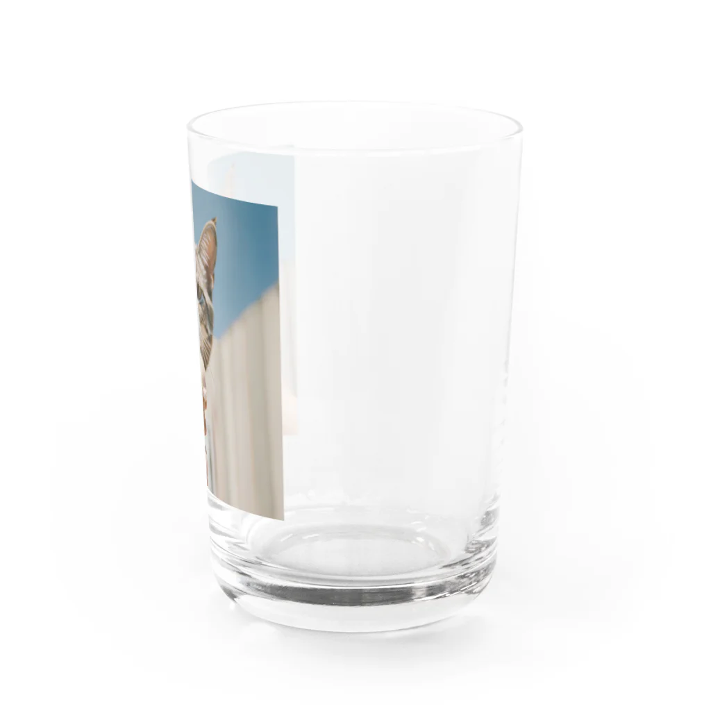 猫雑貨屋　ねこまろのアイスにかぶりつく猫 Water Glass :right