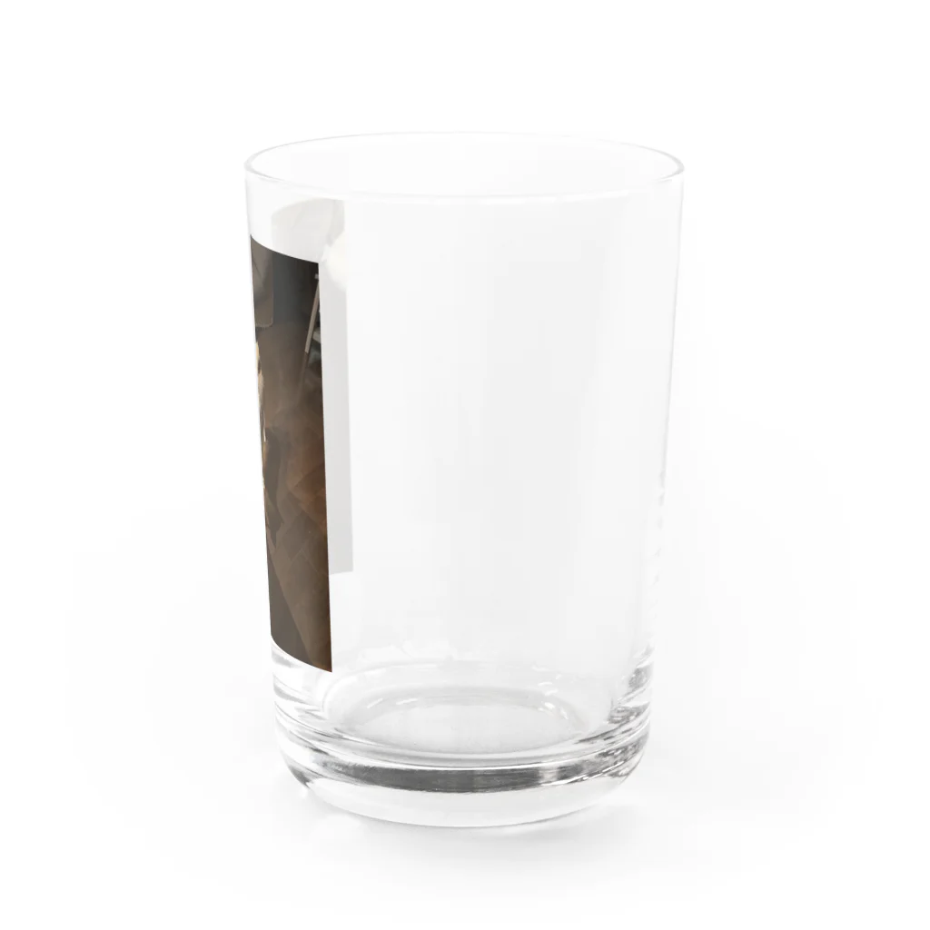 SHOP 光のきゅうとのいたずら Water Glass :right