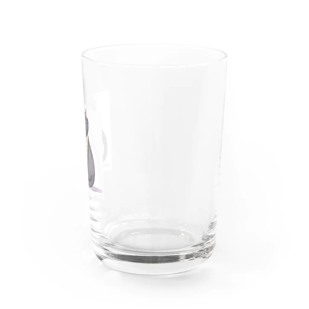 kgymのスーツ猫 Water Glass :right