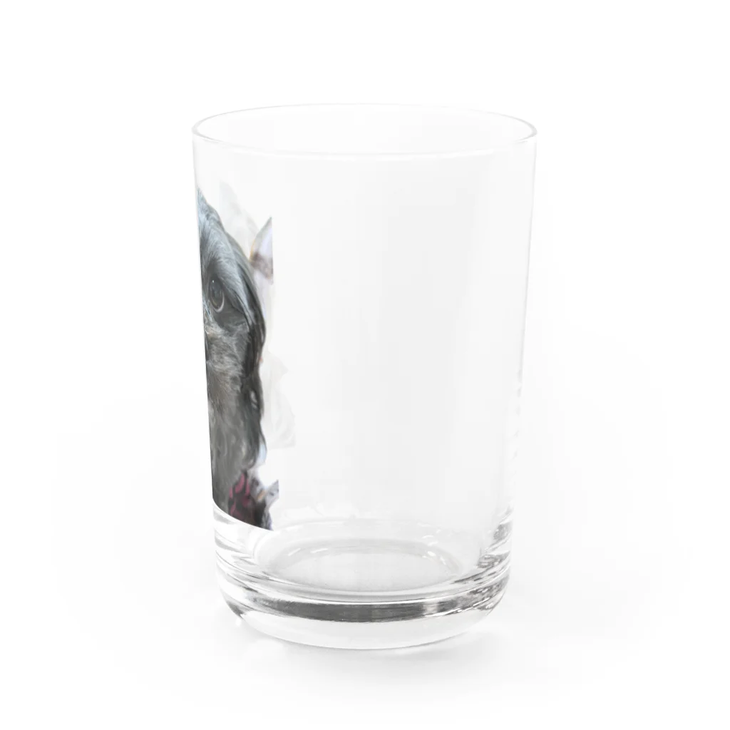 みたらし団子のふたたまちゃんの可愛いわんちゃん Water Glass :right