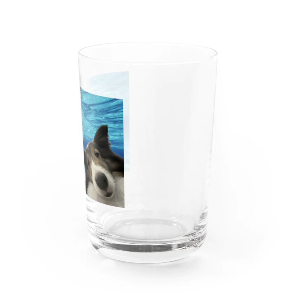 犬ロボット！のinurobotの犬in海 Water Glass :right