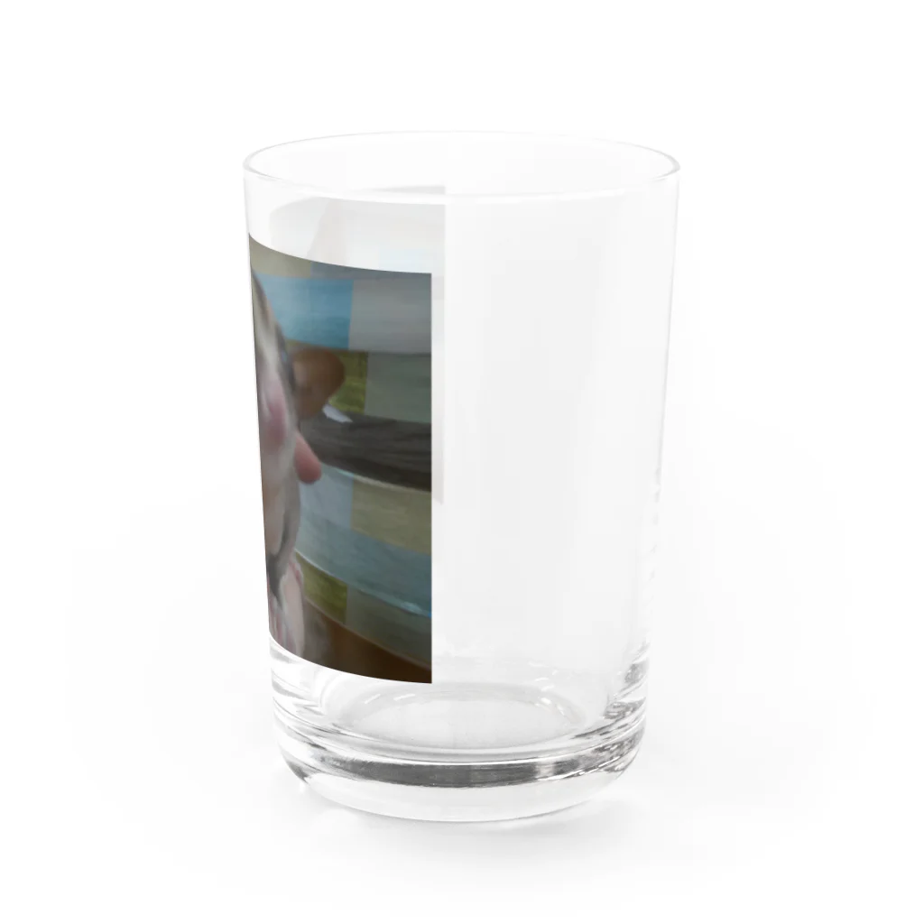 panchanphotoanimalsのモモンガシリーズグッズ Water Glass :right