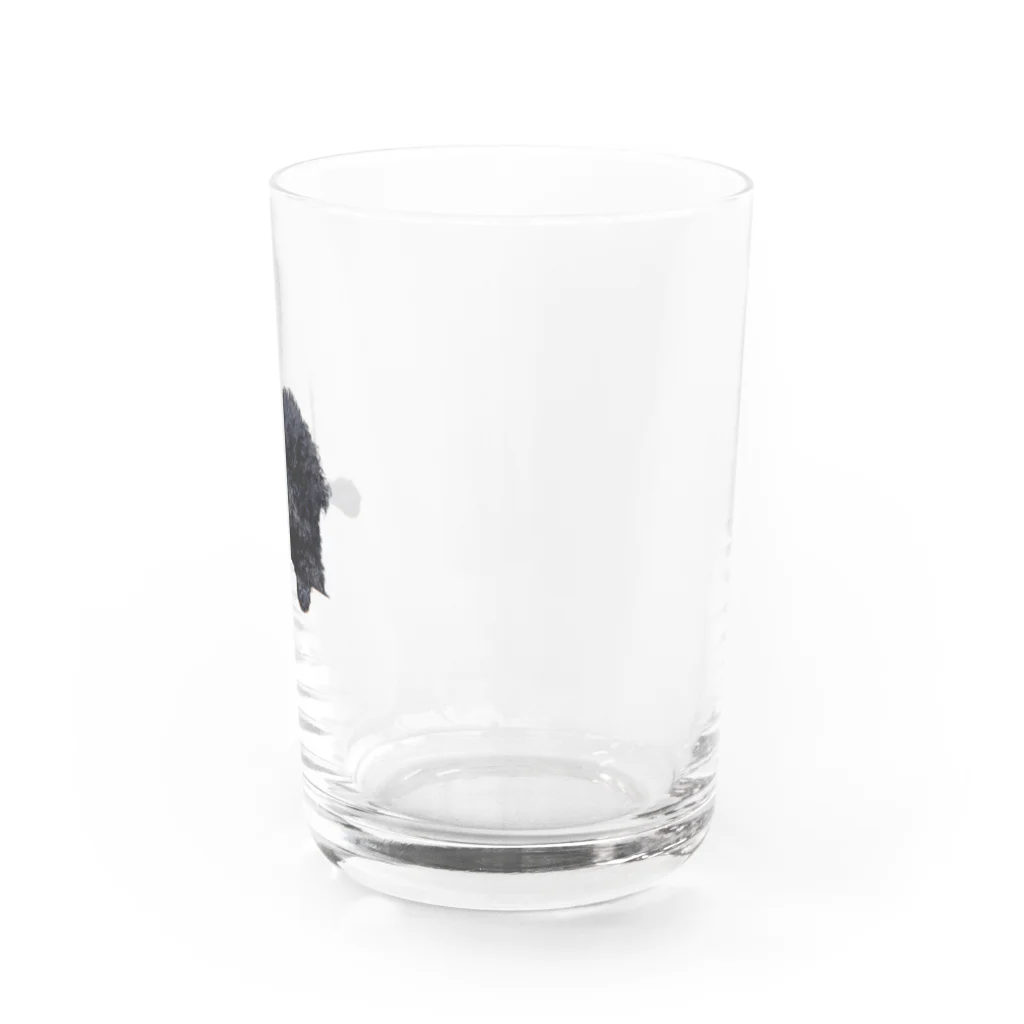 アビシニアコロブスのboss Water Glass :right