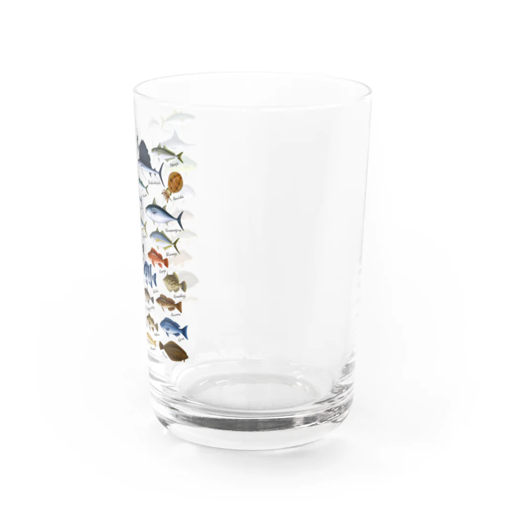 猫と釣り人のSaltwater fish_2W Water Glass :right
