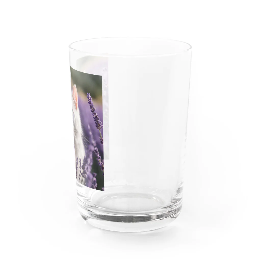 capcat1919のラベンダー猫 Water Glass :right