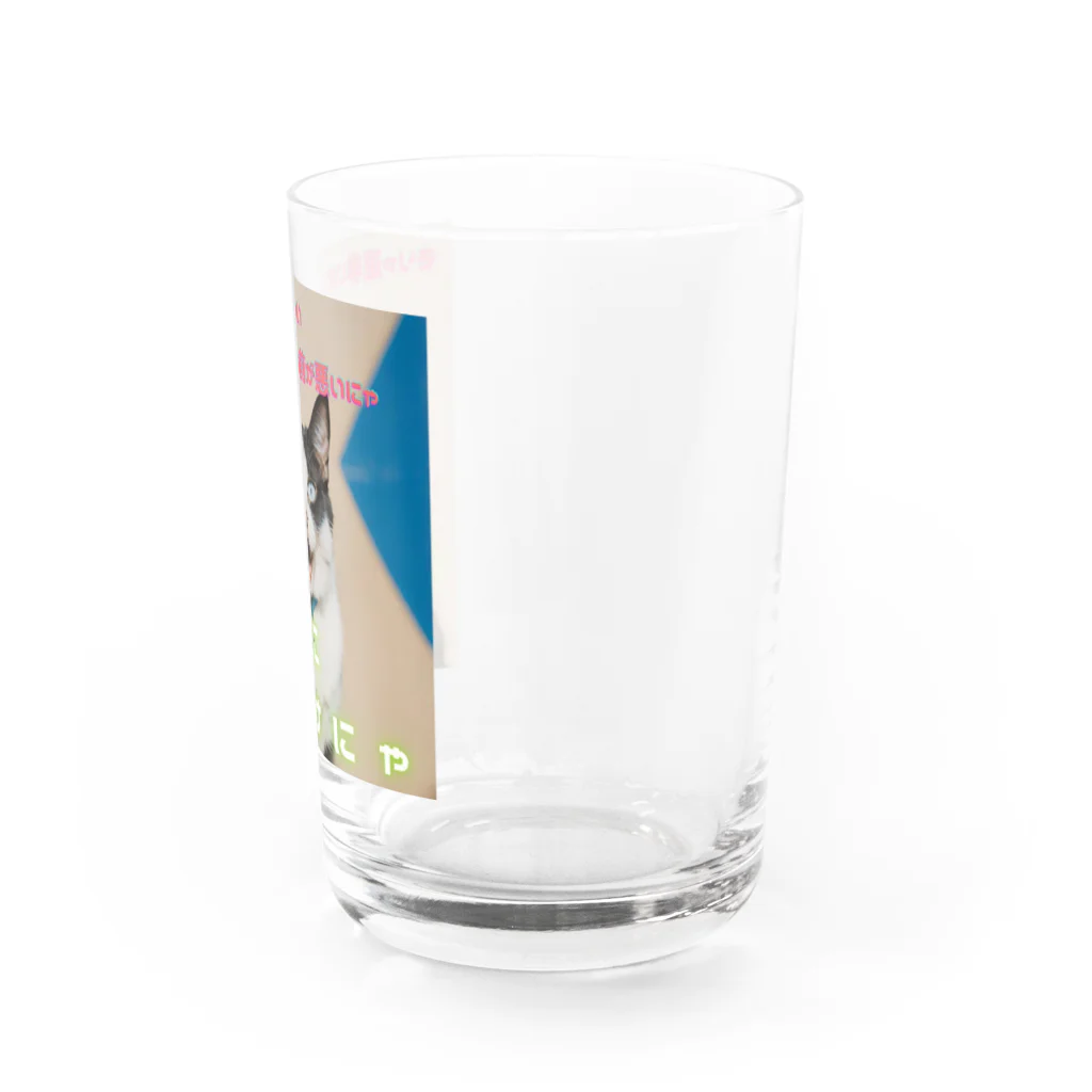 hatiwarenek-gomaのゴマの一言「選挙にいくにゃ」 Water Glass :right